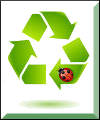 recycle_ladybug